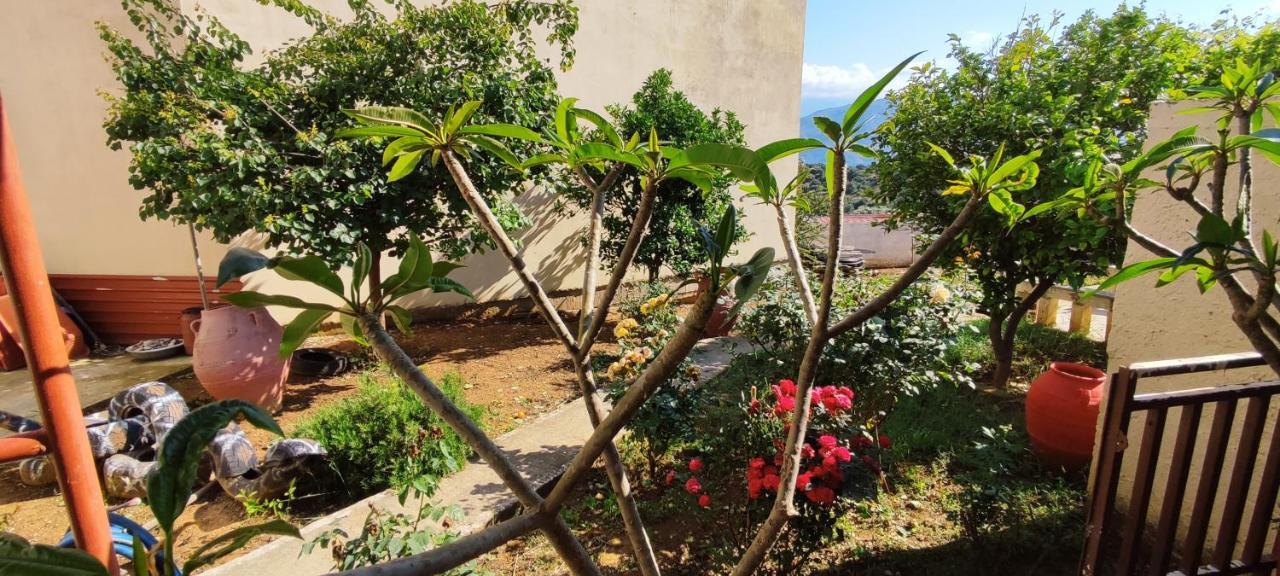 Stérnai Village House With A Nice Garden מראה חיצוני תמונה